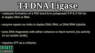 T4 DNA Ligase | Ligation Using T4 DNA Ligase |