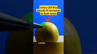 Lampu LED bisa menyala di tancapkan ke buah lemon #experiment #shorts #diy