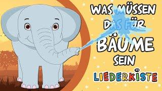 Was müssen das für Bäume sein - German Nursery Rhymes | Liederkiste