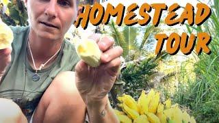 Seed Saving Secrets You Need To Know - Homestead Tour w/ Kelli from TreehouseChicks