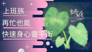 上班族快速身心靈平衡｜身心靈平衡技巧｜靈魂聊芋