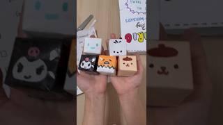 Sanrio squishies blind bag  #sanrio #squishy #unboxing #cinnamoroll #kuromi #pompompurin #asmr