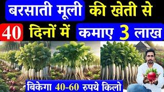 45 दिनों में 3 लाख बरसात में मूली की खेती से | Barsat Me Muli Ki Kheti Kaise Karen | Radish Farming