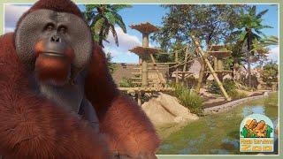 Bornean Orangutan Habitat! | Mesa Gardens Zoo | Planet Zoo Franchise Lets Play