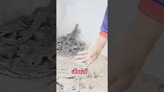 เลี้ยงแย้ #เกษตรผสมผสาน #เลี้ยงแย้#สัตว์เลี้ยง #สัตว์เศรษฐกิจตัวจริง #เกษตรอีสานยุคใหม่ #farming