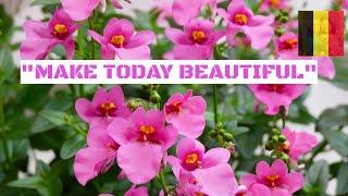 "MAKE TODAY BEAUTIFUL" / HAPPY MONDAY / MAY2020 / ELLA'SLIFE