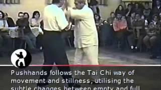 Wu Tai Chi Chuan 吴式太极拳