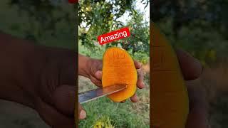 Amazing Mango Cutting #mango #bts #jimin #btsshorts #mango #jiminbts #jungkookdance