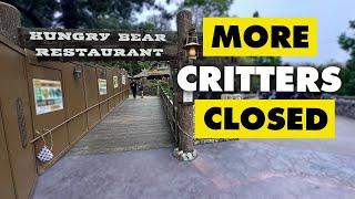 More closures coming to Critter Country + NEW Bag Check! | Disneyland Construction 06-03-2024