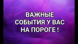 НЕВЕРОЯТНО!КАКОЕ СЧАСТЬЕ НА ПОРОГЕ? Таросегоднягаданиеонлайн#shortsfeed#youtubeshortsонлайнрасклад