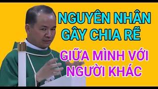 NHỮNG NGUYÊN NHÂN KHIẾN CHÚNG TA CHIA RẼ LẪN NHAU | BÀI GIẢNG HAY CỦA CHA PHẠM TĨNH