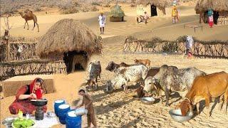 Cholistan Mud House and worker|Cholistani log kam karte howe