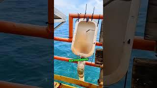 Toilet Straight to the OCEAN?!  Offshore Rig Bathrooms!