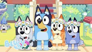 Bluey: A Placa - Trailer Oficial!  | Bluey Português Brasil Canal Oficial