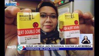 Serum Antibisa Jadi Penangkal Gigitan Ular Berbisa - LIS 18/12