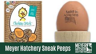 Meyer Hatchery Summer Sneak Peeps!
