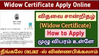 how to apply widow certificate online  | widow Certificate apply| 2024 | விதவை சான்றிதழ் | tnesevai