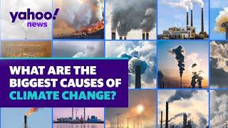 What are the biggest contributors to climate change?