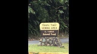 You Won't Believe the BREATHTAKING Views from Yokahu Tower in El Yunque Rain Forest Puerto Rico!