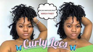 CURLY LOCS ! | How to take out your old two strand style | 5 month starter locs