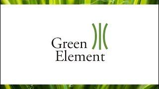 Rise for climate with the Green Element Staff