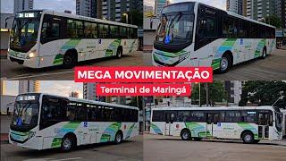 MEGA MOVIMENTAÇÃO de ÔNIBUS no TERMINAL de MARINGÁ