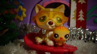 Littlest Pet Shop: Adventní soutěž #3 (UZAVŘENO)