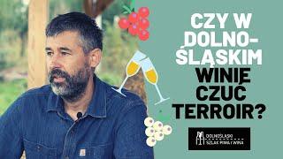 Terroir a wino | Dolnośląski Szlak Piwa i Wina