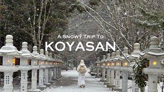 A winter getaway to Koyasan, Wakayama | ghibli-like cafes, okunoin, temple stay | JAPAN TRAVEL VLOG