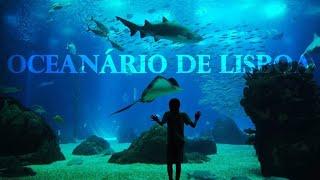 Lisbon Sea Aquarium, Portugal, Full Tour in 4K !