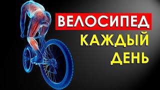 Что Произойдет с Вашим Телом от Велосипеда Каждый День