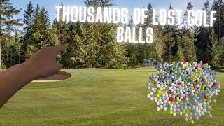Finding Thousands of Lost Golf Balls In The Woods