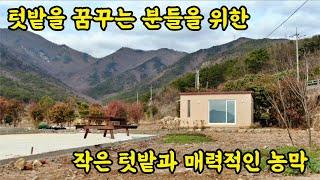 (매물번호 312)텃밭을 꿈꾸는 분들을 위한 양산 원동 화제리 텃밭과 매력적인 농막매매, 건축도 가능