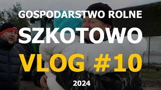 Nowy rozsiewacz, wielkie wędzenie i świąteczne pojednanie z Panem Jarkiem // VLOG#10 GRSzkotowo