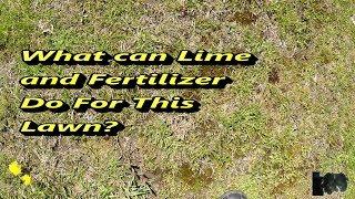 Results of adding Lime and Fertilizer to Lawn Before and After