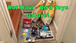 Rat Haul #5 - Bird Foraging Toys Galore!