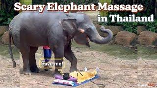 First time ever Elephant Massage in Thailand | Safari World Bangkok | Scary Elephant | @ShazebSMS