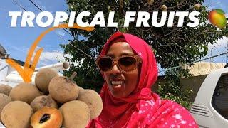 Trying NEW FRUITS IN HARGEISA SOMALILAND 2024