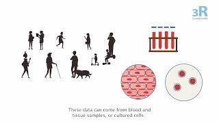 How can we use computer models to replace and reduce animal testing?