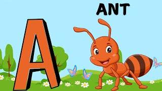 ABC Phonics Song | Alphabet ABC Kids Song, ABCD, A to Z Rhymes For Toddler B For Baby | Curio Cubs