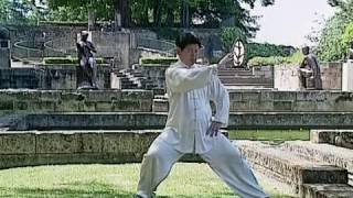 Tai Chi Lessons with Master Jian Liujun