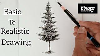 Pencil drawing of pine tree for beginners/ basic drawing/ realistic drawing/