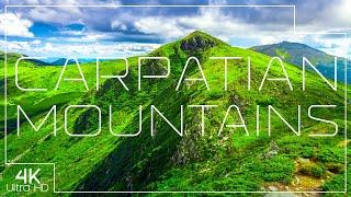 Carpathian Mountains in 4K ️ Beautiful European wilderness