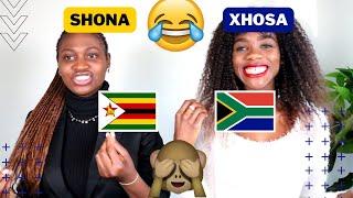 Language Tag | Learn Shona vs Xhosa Tag (Part 1) | South African YouTuber