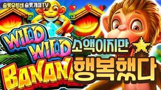 [슬롯][온라인슬롯하는법] 와일드 와일드 바나나 : WILD WILD BANANAS #실시간슬롯 #온라인슬롯머신 #슬롯방송 #강원랜드 #슬롯잭팟 #슬롯또치TV