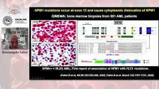 joint IACRLRD/IACH webinar: Targeted diagnosis and therapy of NPM1-mutated AML