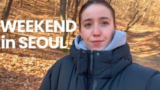 Weekend in Korea Vlog | Local Korean Bakery, Suwon Starfield, Dog trying ice cream & Korean buffet