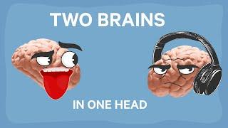 The INSANE Split Brain Research Findings