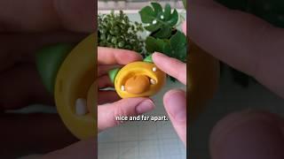 Making a Mango Fruit Monster! Part 7 of my Fruit Monster Series.