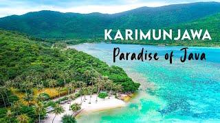 Island Hoping KARIMUNJAWA. Underwaternya JUARA! | Backpacker Tampan